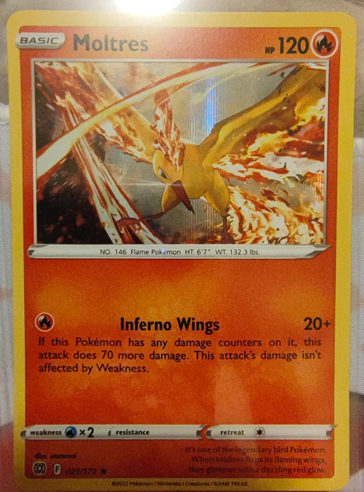Moltres Holo