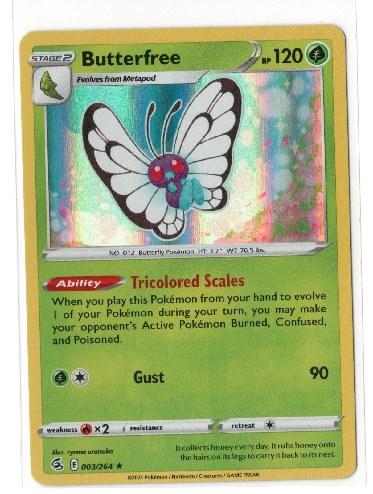 Butterfree Holo
