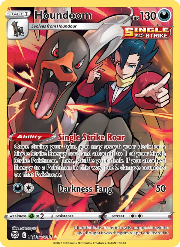 Houndoom Tg10