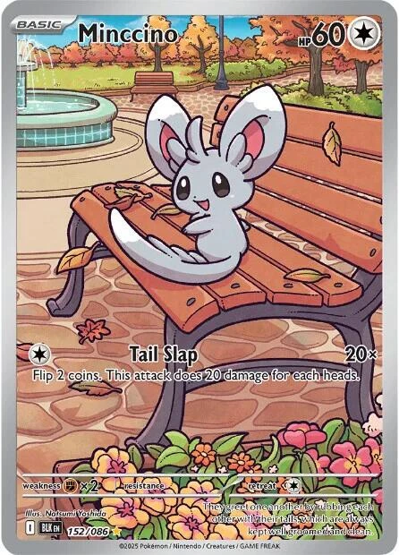 Minccino