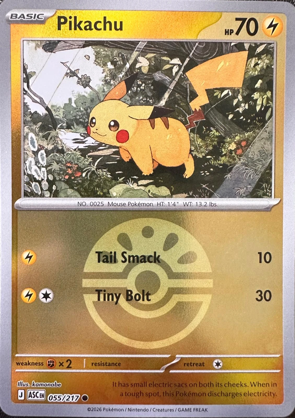 Pikachu Ball