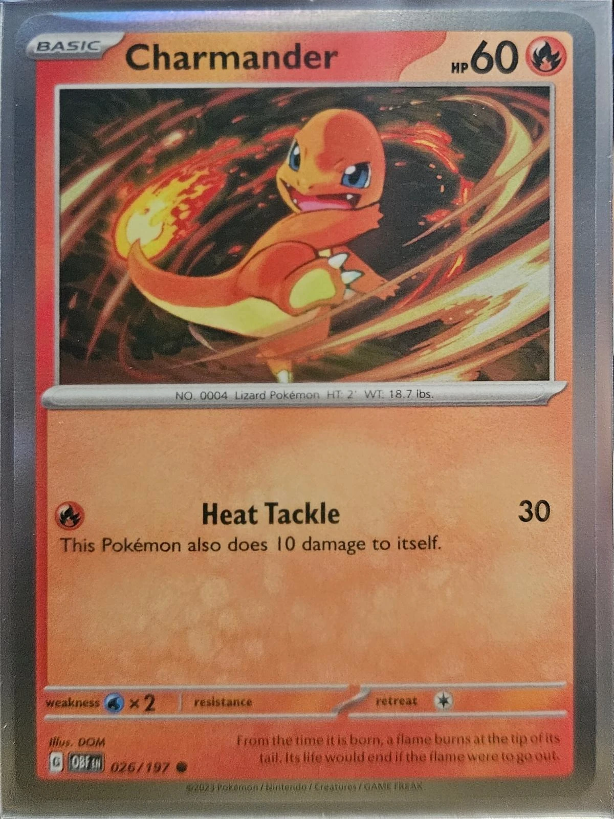 Charmander Holo